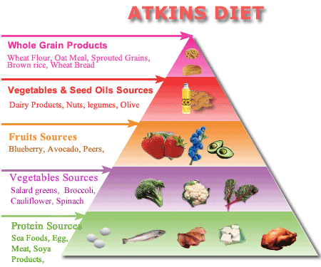 atkins dieet het atkins dieet